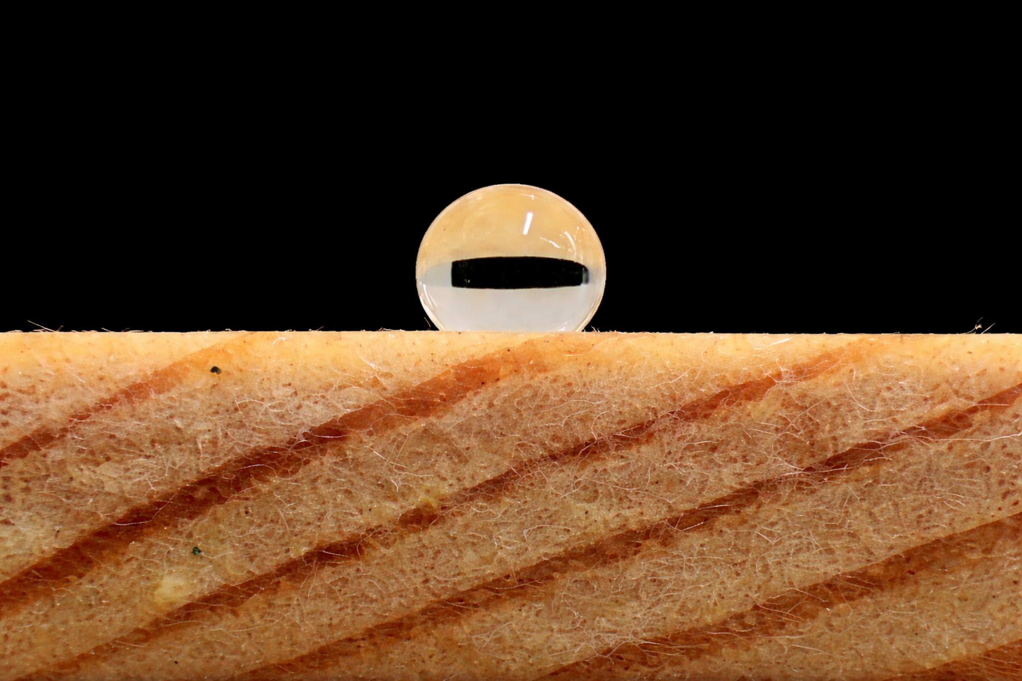 Water droplet on a hydrophobic surface